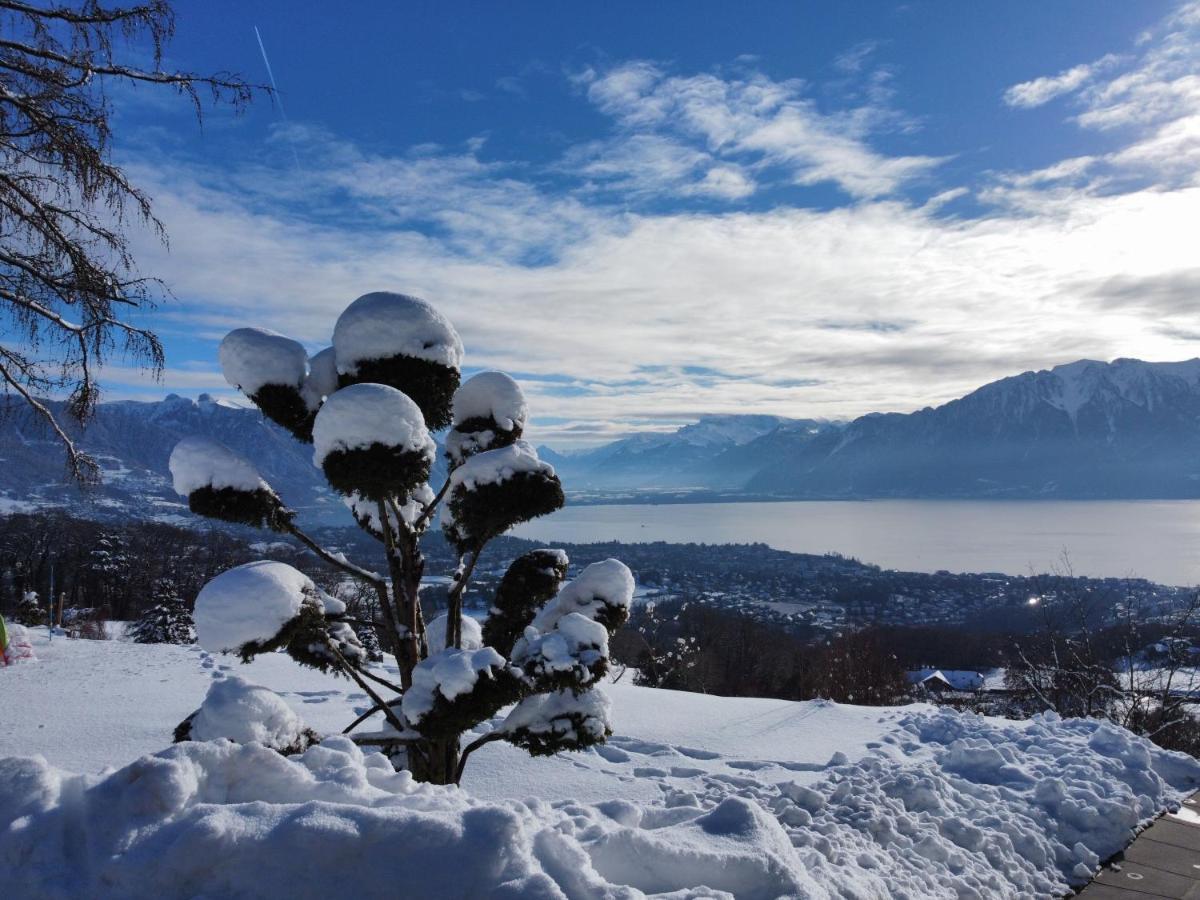 Appartement Moderne Avec Vue Panoramique A Jongny Proche De Montreux Dış mekan fotoğraf