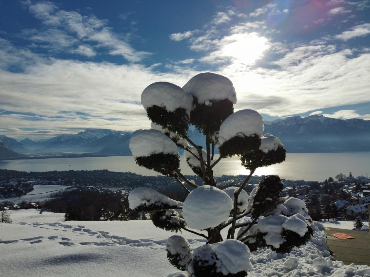 Appartement Moderne Avec Vue Panoramique A Jongny Proche De Montreux Dış mekan fotoğraf